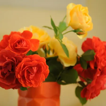 Hotel Diandra Eforie Nord